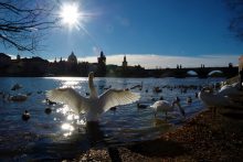 Prague morning Prague morning