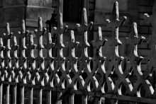 DSC_4610 (2440x1624)