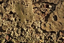 DSC_4931 (2440x1624)