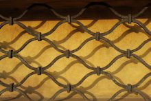 DSC_5300 (2440x1624)