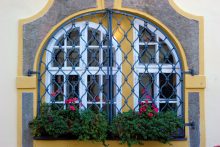 DSC_8419 (2440x1624)