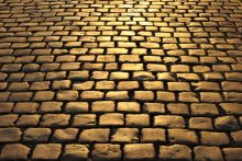 DSC_9939 (2440x1624)