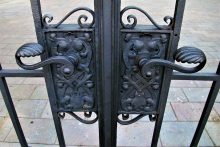 IMG_9864 (2440x1626)